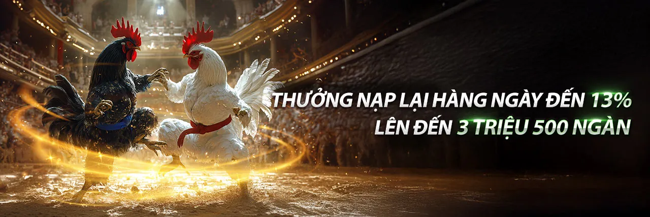 Đấu trường đá gà kịch tính tại rikvip win