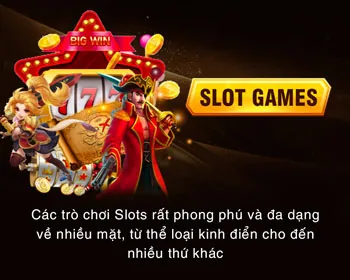 Cấp Độ VIP Bạch Kim rikvip win